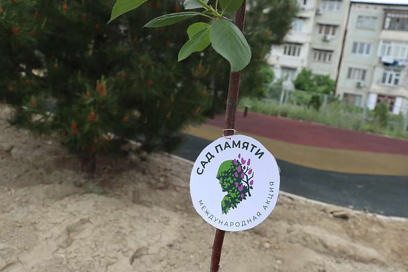 Сад Памяти – сажаем, чтобы помнить 